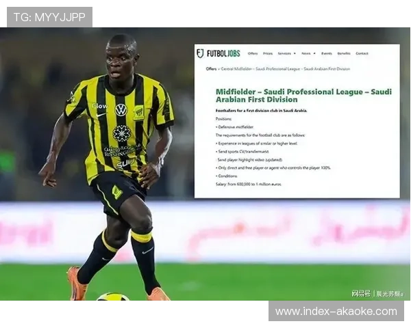 沙特资本入主欧洲足坛的隐忧与机遇